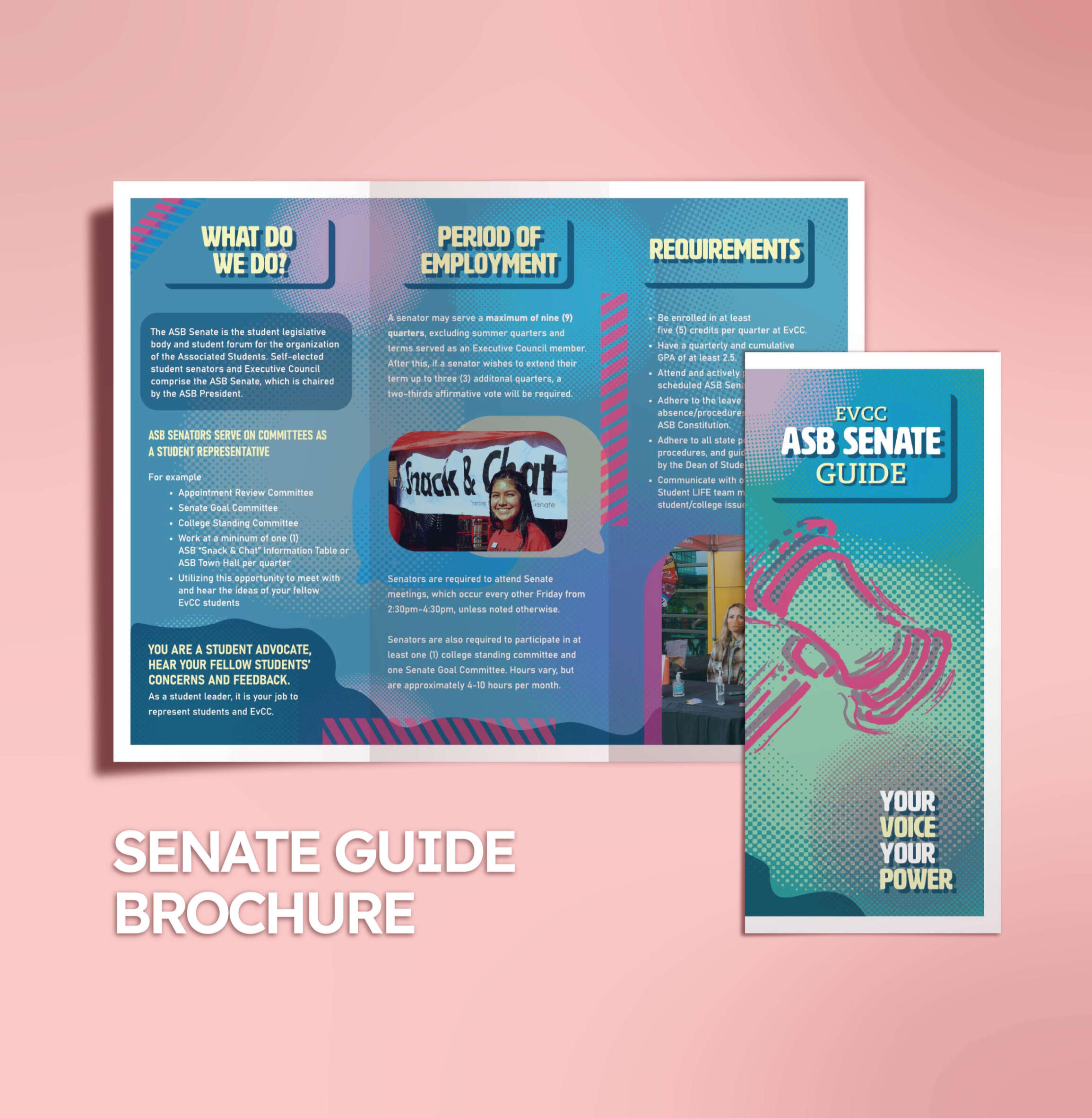 Senate Brochure Mockup